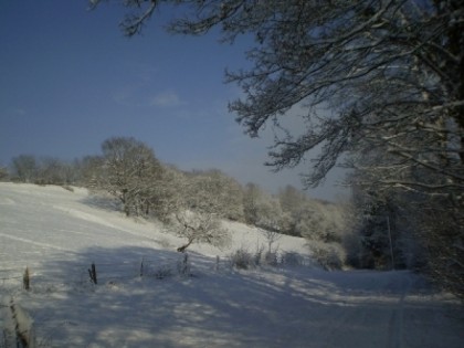 Foto: Em Wingert 